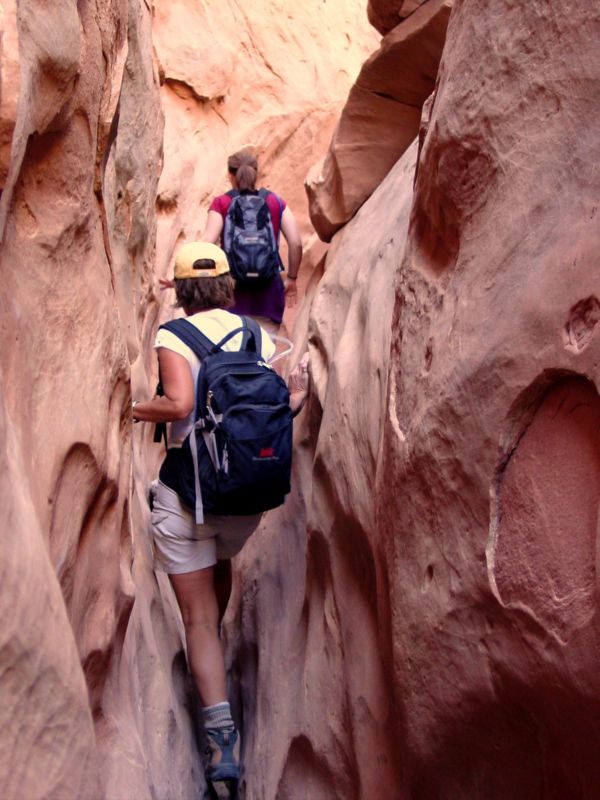 04160302LittleWildHorse (1049)